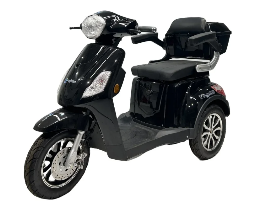 Modification Skyblue  3 Wheels 1000W 25km/h Good Capacity Powerful Mobility Electric Scooter  Moped Electric Tricycle for Adult