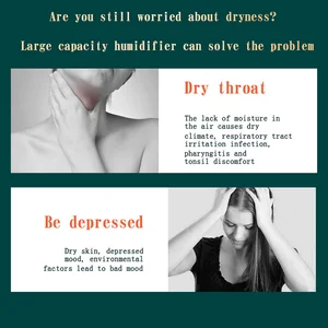 2000 ml USB -Doppelluft -Luftbefeuchterspray -Port Anschluss ätherische Öl Summing Fresco Nebel Schöpfer Fogger Purify für Home Office 10 Hauptdarmagelement für Verkaufsbefeuchter - №4