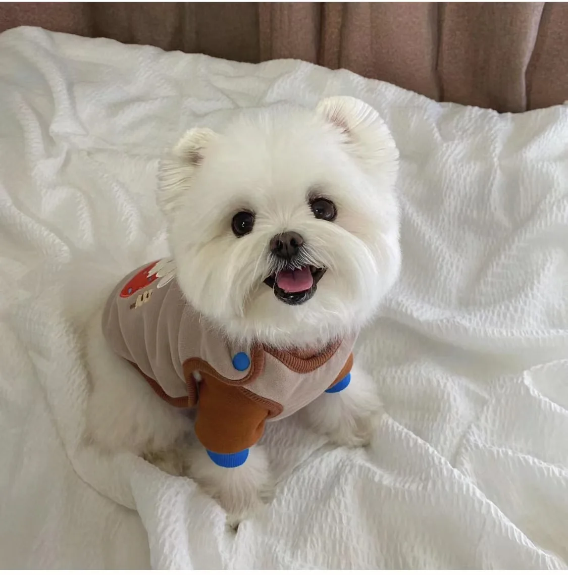 Pet Plush Vest Winter Warm Jacket One Piece Soft and Sticky Jacket Cute Embroidered Clothes Puppy Clothes Dogs Vest Dog Costume