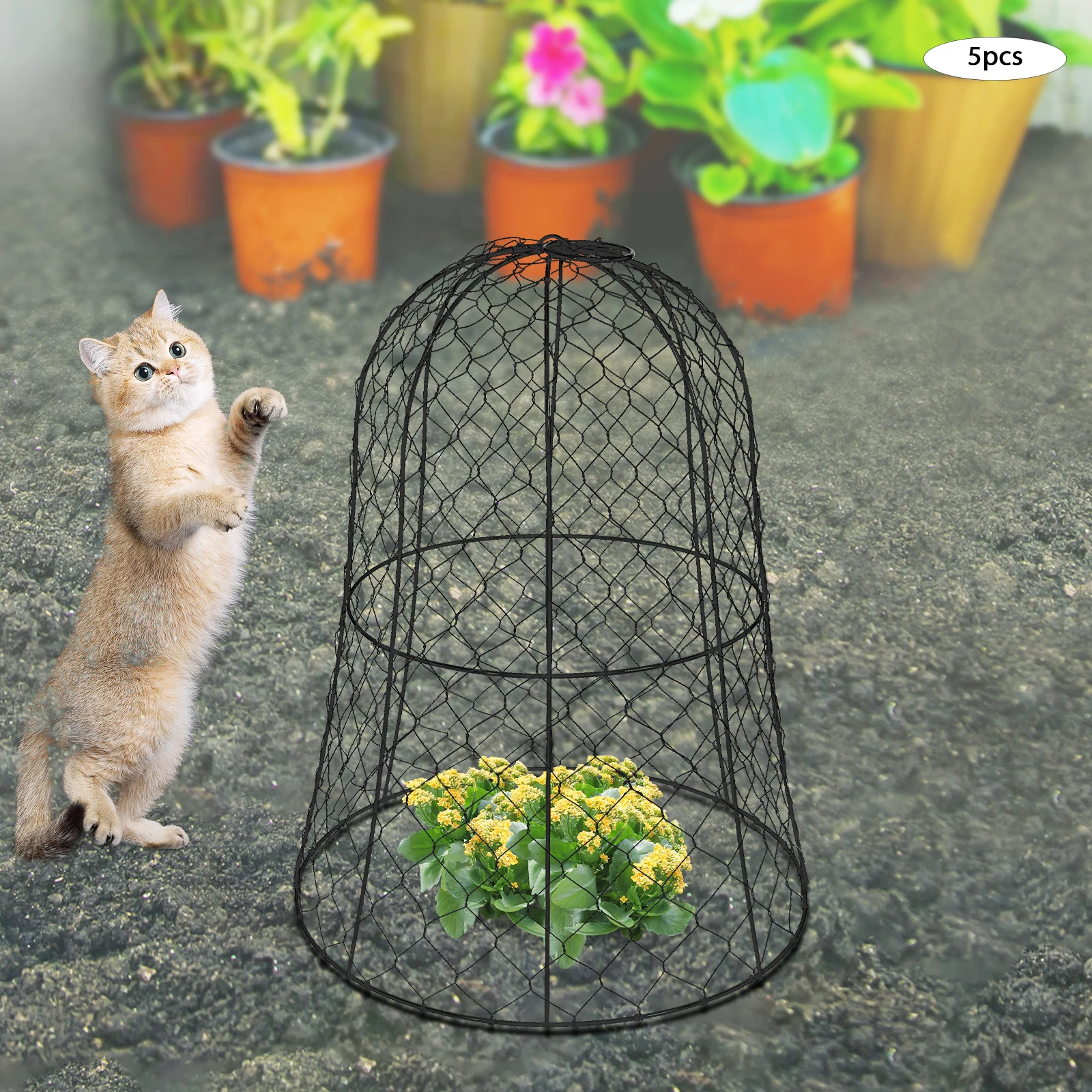 

Комплект из 5 клетки для защиты садовых растений, диаметр 12,99 дюйма x клаш из куриной проволоки высотой 15,75 дюйма для наружного использования, усиленная структура