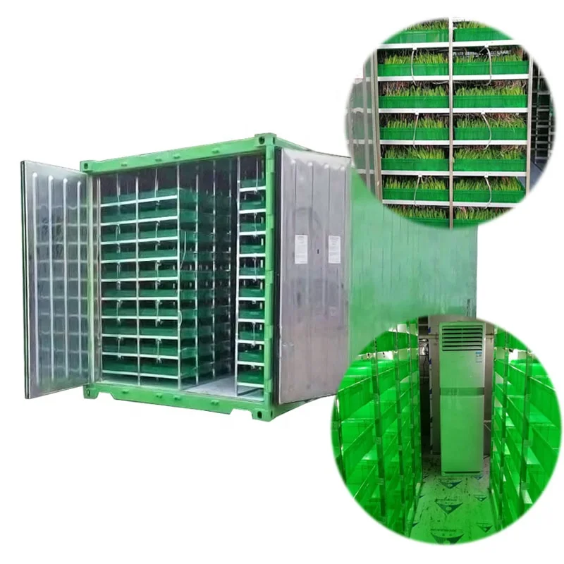 Plant Seedling Equipment Fodder Growing System Hydroponic Farm Container for Forage Grass