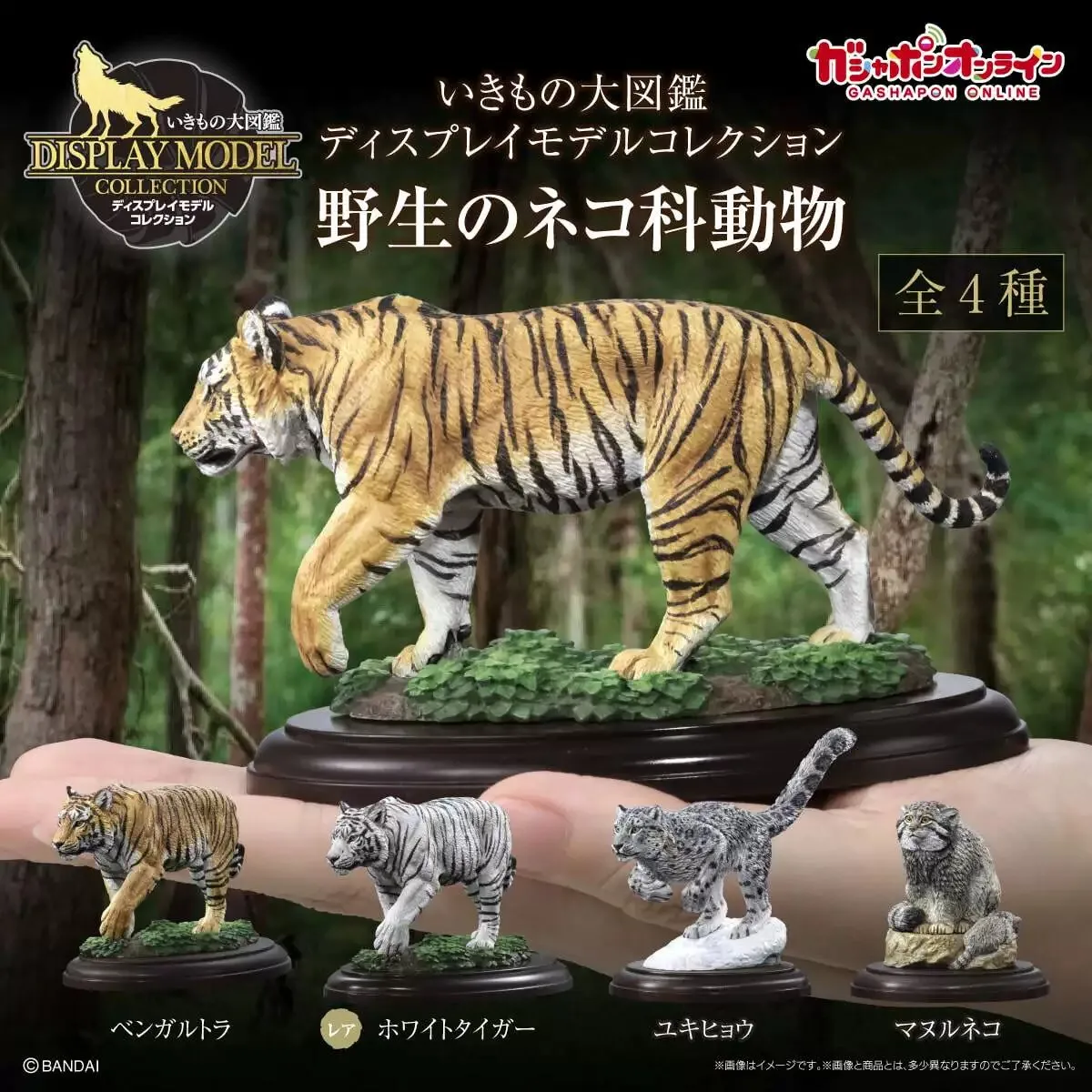 Биологическая энциклопедия: Фигурка-модель тигра (Gashapon Felidae) - Белый тигр, Южно-Китайский тигр - Реалистичная фигурка животного