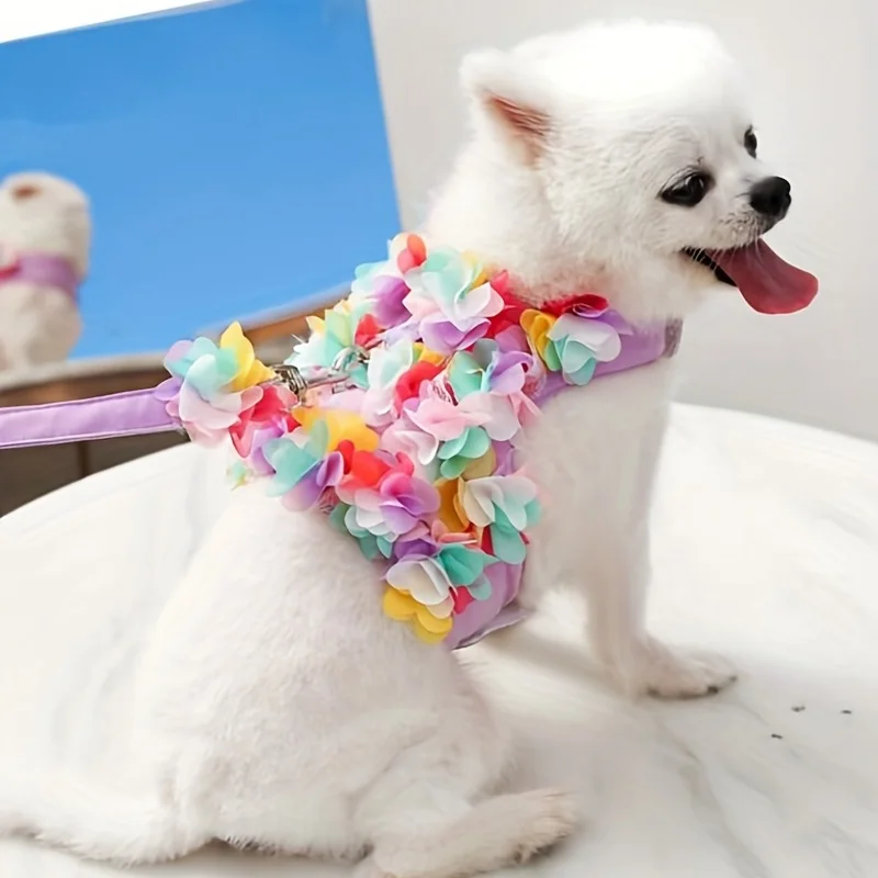 Thumbnail 2 - #1 Latest Puppy Seat Belts Offers