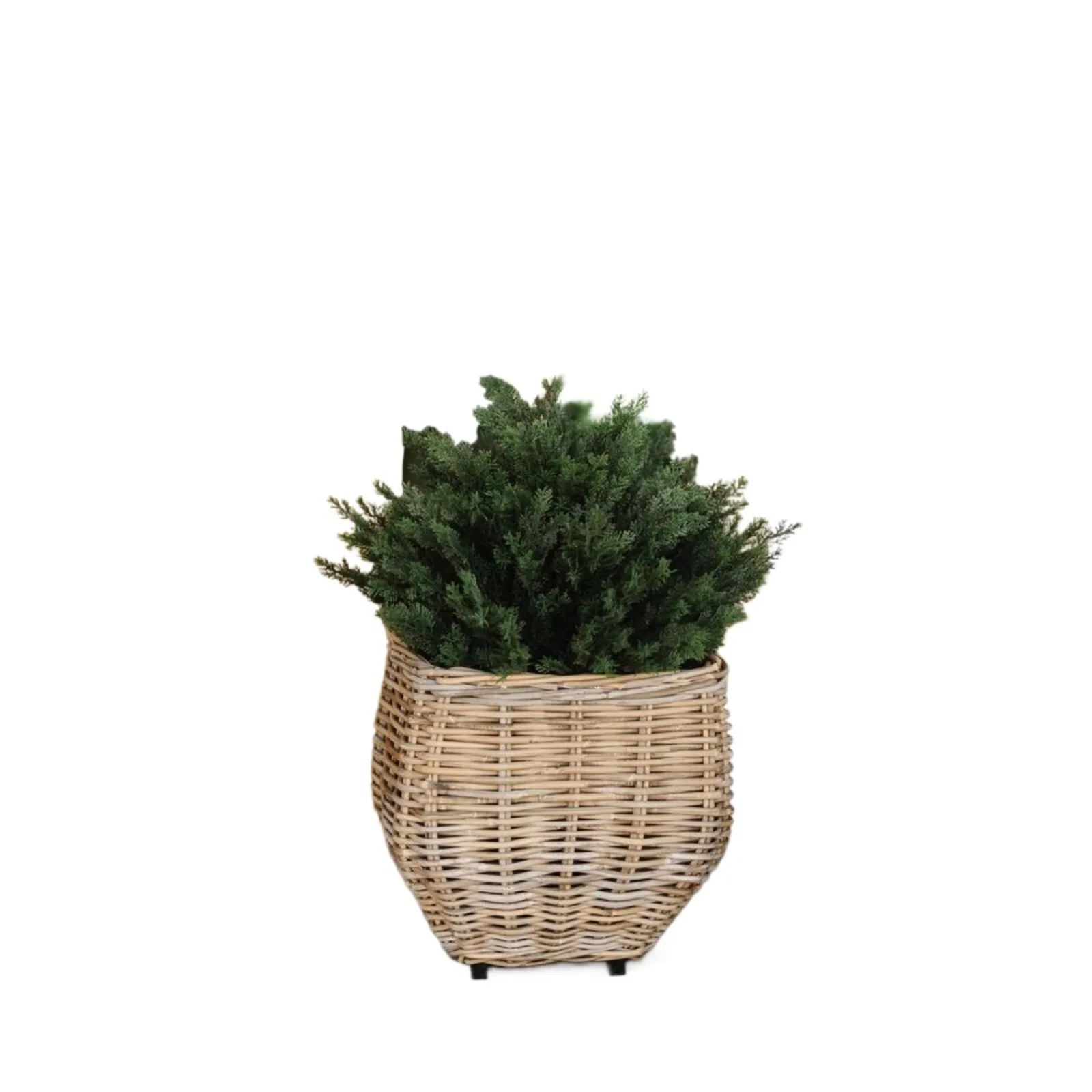 2’ Cedar Topiary Artificial Tree UV (Indoor/Outdoor) Home Decor. Retail $96 United States