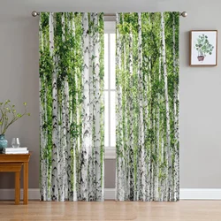 Plant Birch Tree Green Forest Chiffon Sheer Curtains for Living Room Bedroom Home Decoration Window Voiles Tulle Curtain