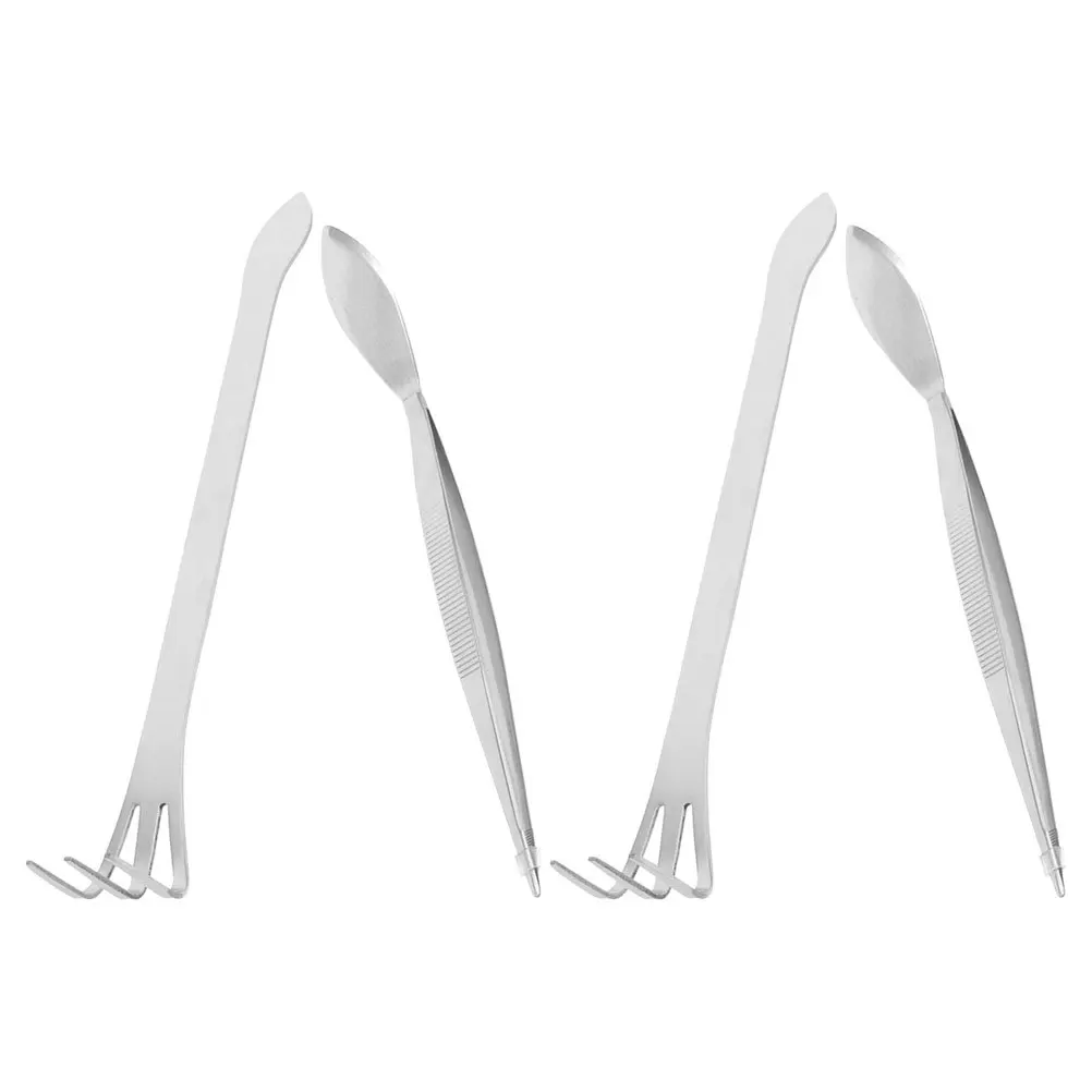 

4Pcs Bonsai Tool Set Stainless Steel Mini Tweezers Small Rake Bud Tool Moss Scraper Precision Gardening Hand Tools for Bonsai