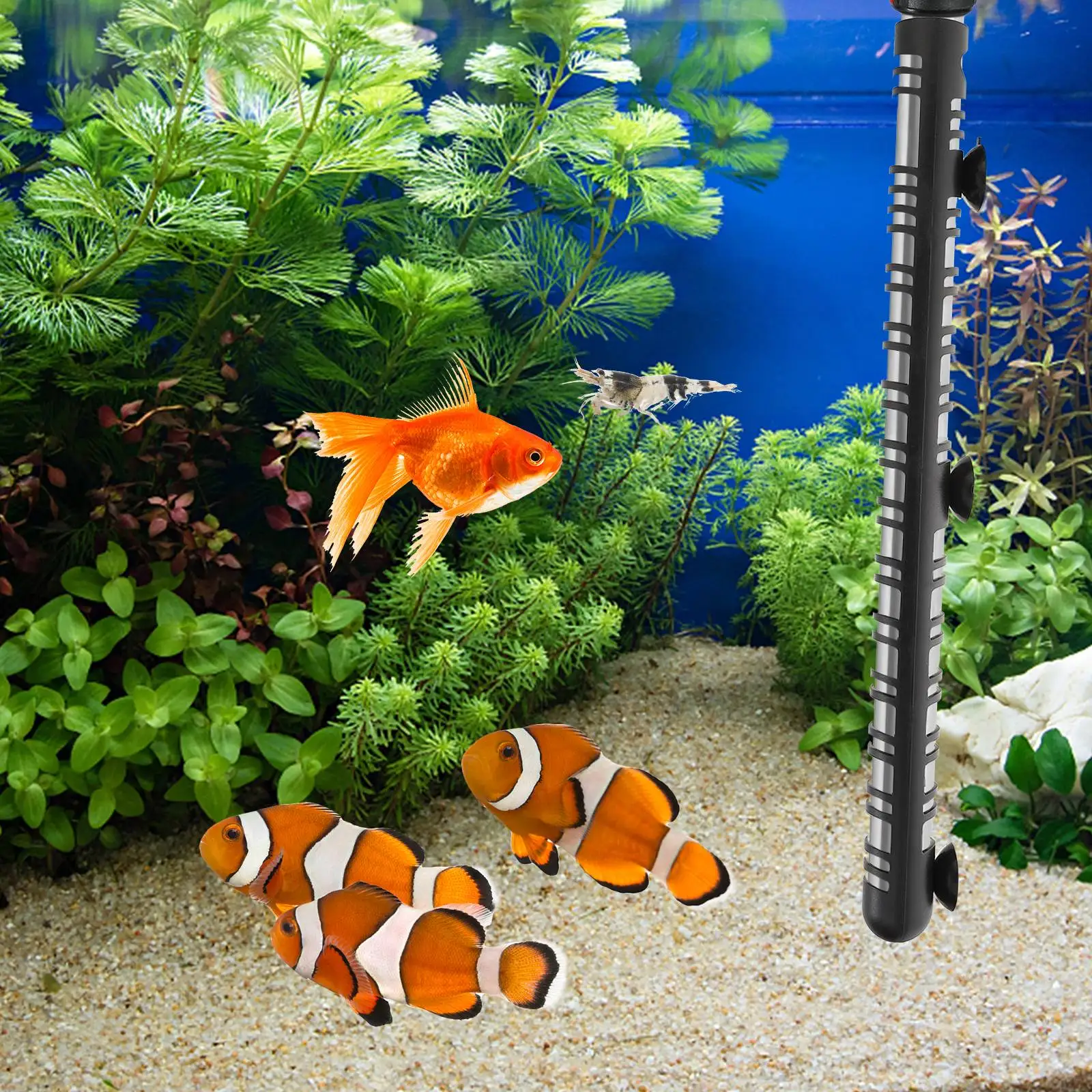 

Plastic Aquarium Heater Protective Cover for Fish Tank Heaters Safeguard Wear Resistant Fresh Salt Water Heating Rod Protector