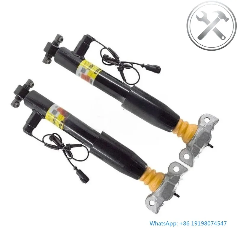 

Pair Rear Shock sorber Struts DG9Z18125B DG9Z18125A Suspension Damper For 2013-2020 MKZ