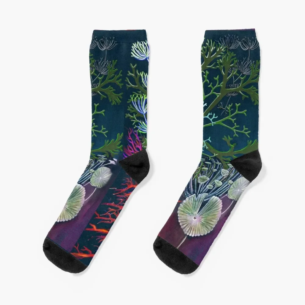 

Algae Socks valentine gift ideas Men's bright garter christmas stocking Socks Women Men's