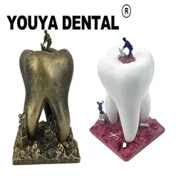 Stomatologia dekoracja Dental molowe figurki Ornament dentysta prezent klinika kreatywny pulpit rzeźba Ornament Artcraft