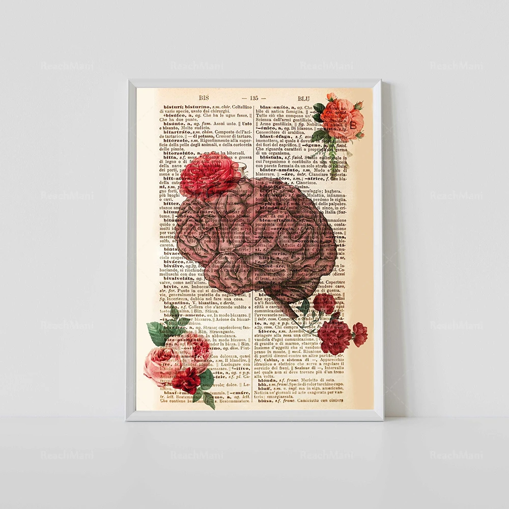 Heart, Body, Skull, Brainprint, Lungs, Anatomy, Anatomy Medical Art, Vintage Book Pages Dictionary Print, Encyclopedia Poster