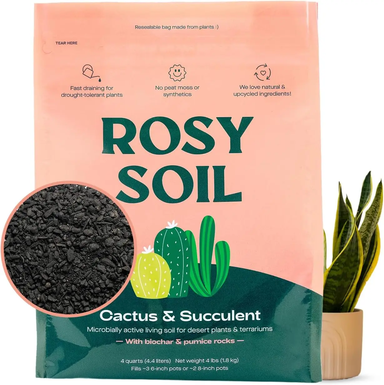 

Organic Cactus & Succulent Soil Mix - Fast Draining, Peat-Free, Root Boosting for Aloe Vera, Cacti, Indoor Succulents - 4qt