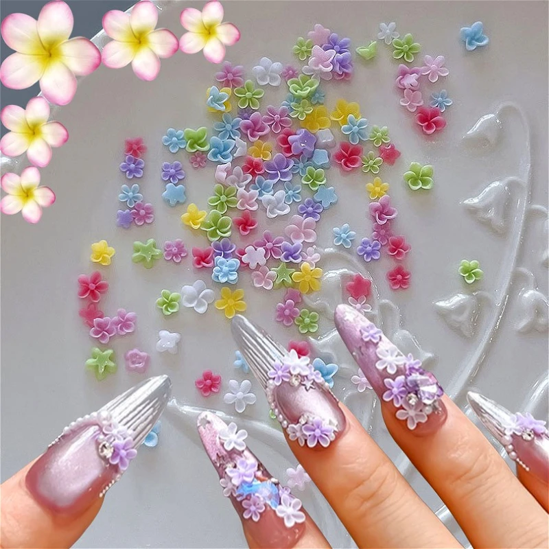 

Colorful Frangipani Flower Five Petal Set Box Camellia Pearl Star Rose Zircon Chic Nail Art Accessories Decoration Manicure Tool