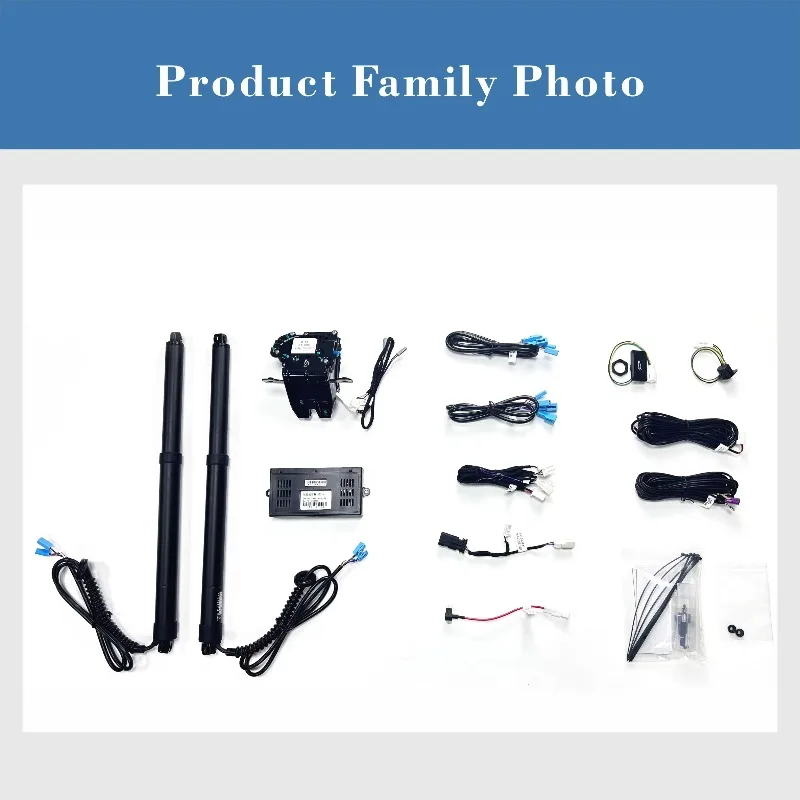 Exclusive Production Worldwide Electric Tailgate Hydraulic Electric Tailgate for  Dolphin  Custom  OEM Compression Price