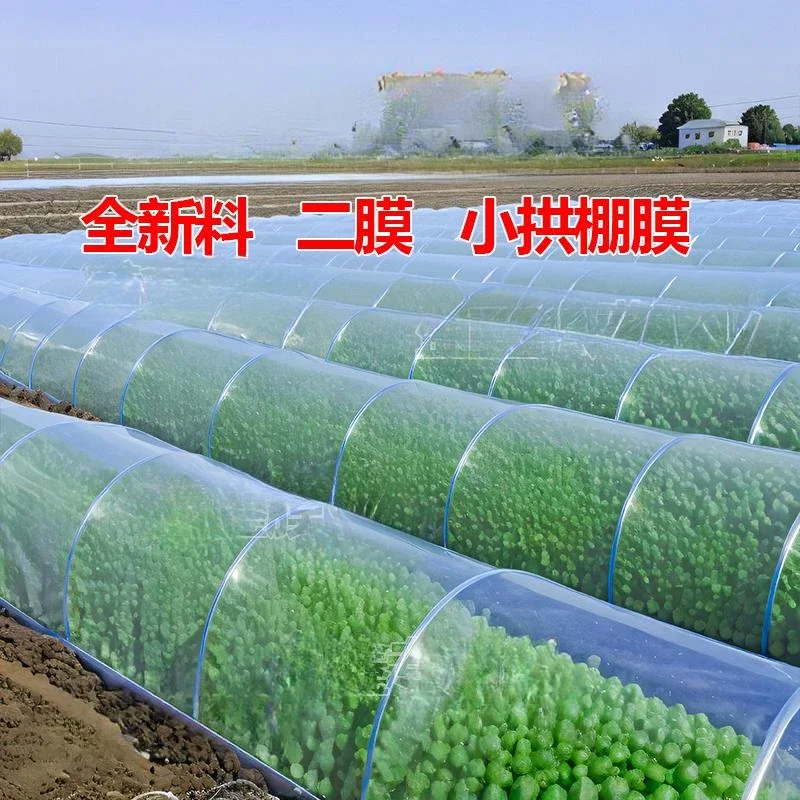 Blue Anti Fog Arch Shed Insulation Film Vegetable Planting with Transparency Drip Free Film Anti Freezing Greenhouse Inner Films