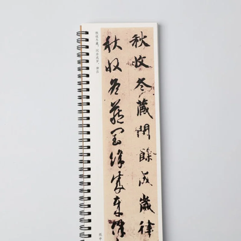 Inscription Copybook Chinese Famous the Thousand Characters Calligraphie Book Chinese Cursive Script Calligraphie Brush Copybook