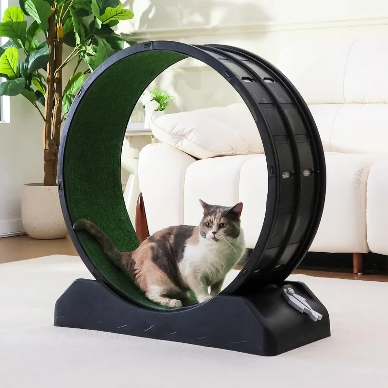 

Cat Exercise Wheel, 31.5 Inch Cats Treadmill for Indoor, Cat Running Wheel with Carpeted Runway, Easy to Install & Fitness & Hea