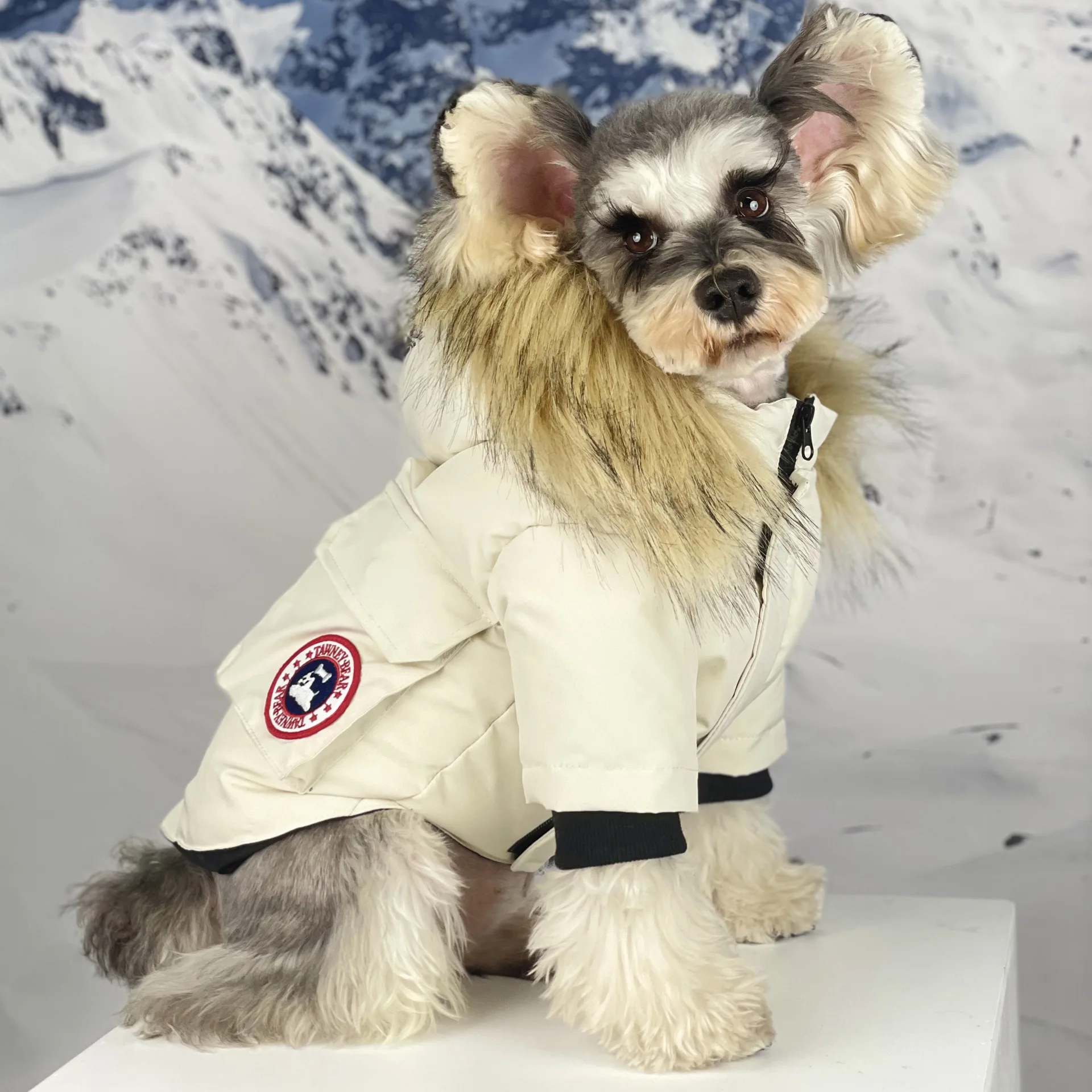 

Down Jacket for Dogs, Thick and Warm Dog Clothing, Schnauzer Teddy Bears, Genuine Fur Collar, Autumn and Winter