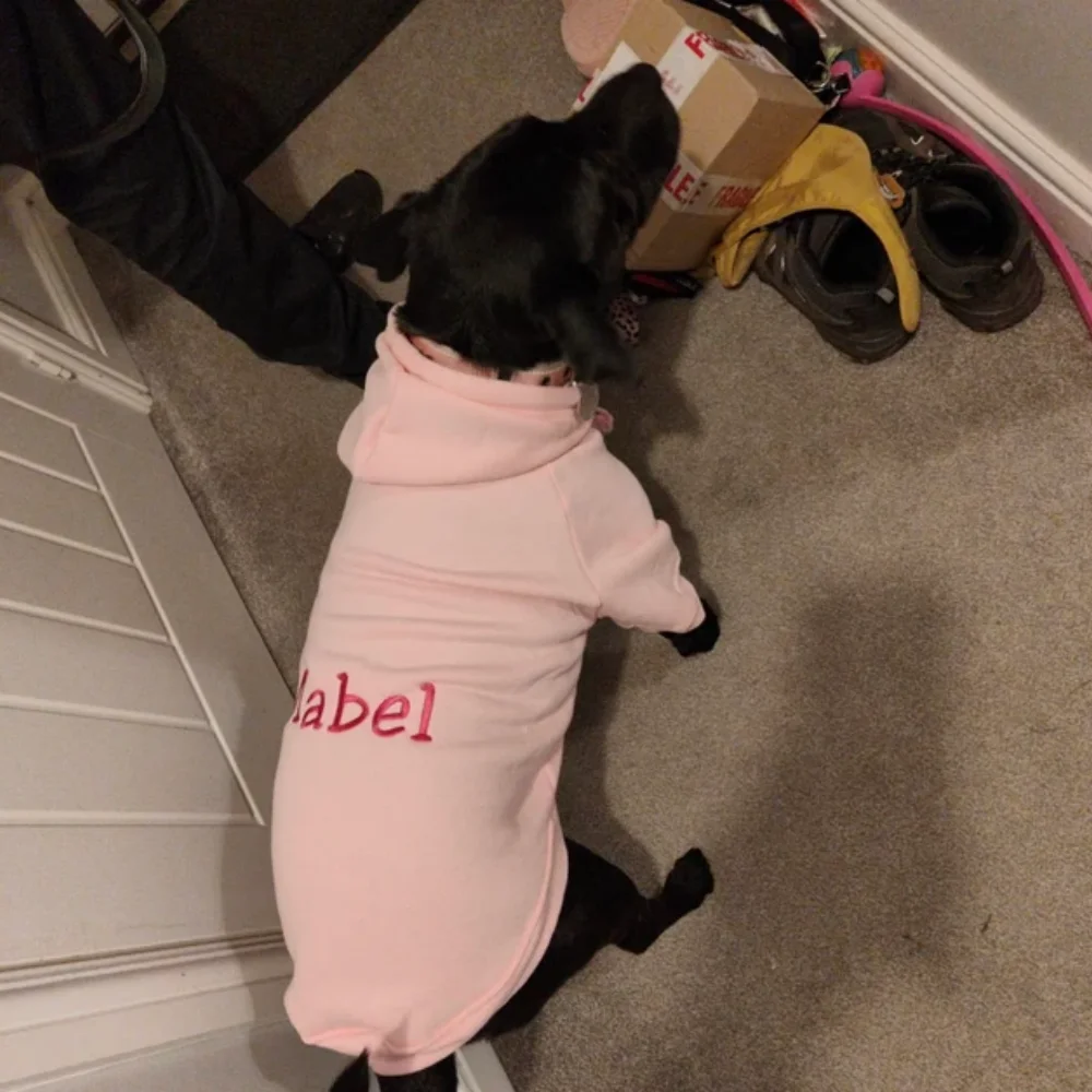 Embroidered Name Pet Clothes Custom Embroidery Any Text Dog Sweatshirt,Embroidered Name Clothing For Dog Cat,Custom Embroider
