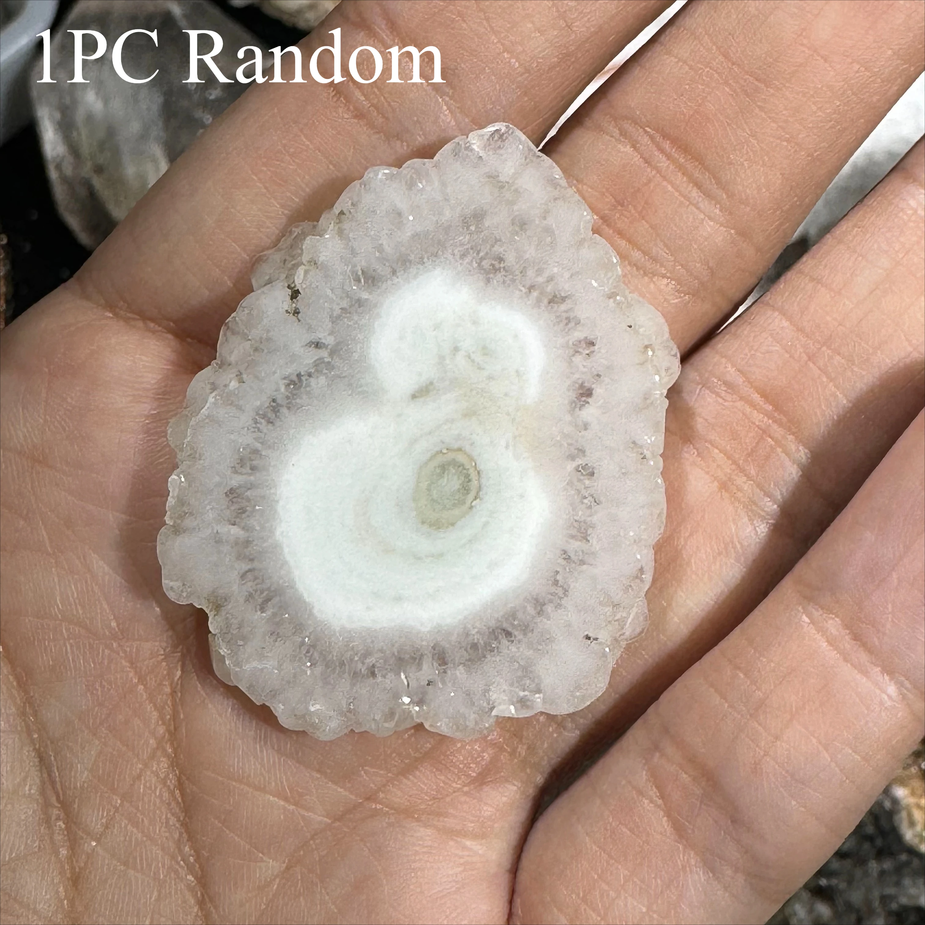 1PC Natural Agate Flower Petal  - Elegant Desktop Decor, Jewelry finding, or Ornamental Slice - Luxury Home/Office Decoration