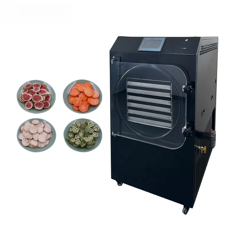 25KG/24H Home Freeze Drying Lyophilization Machine Food Freeze Dryers Dehydration Vacuum Meat Dryer Price