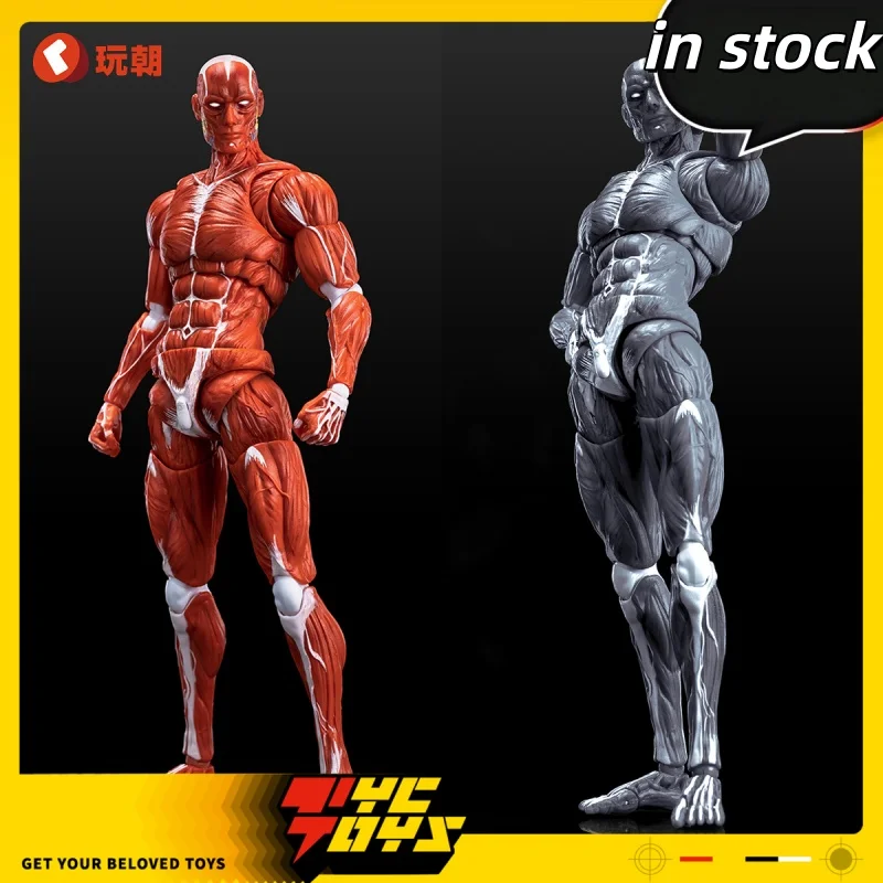 

В наличии, натуральная модель человеческих мышц 1/12, 6 дюймов, экшн-фигурка, солдат, скелет, тело, скелет, модель мышц, коллекция, подарок