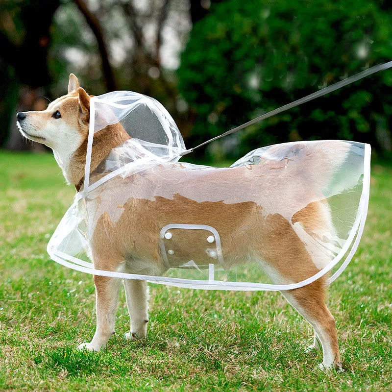 Dog raincoat Pet raincoat four-legged puppy poncho Corgi small dog Shiba Medium sized dog transparent