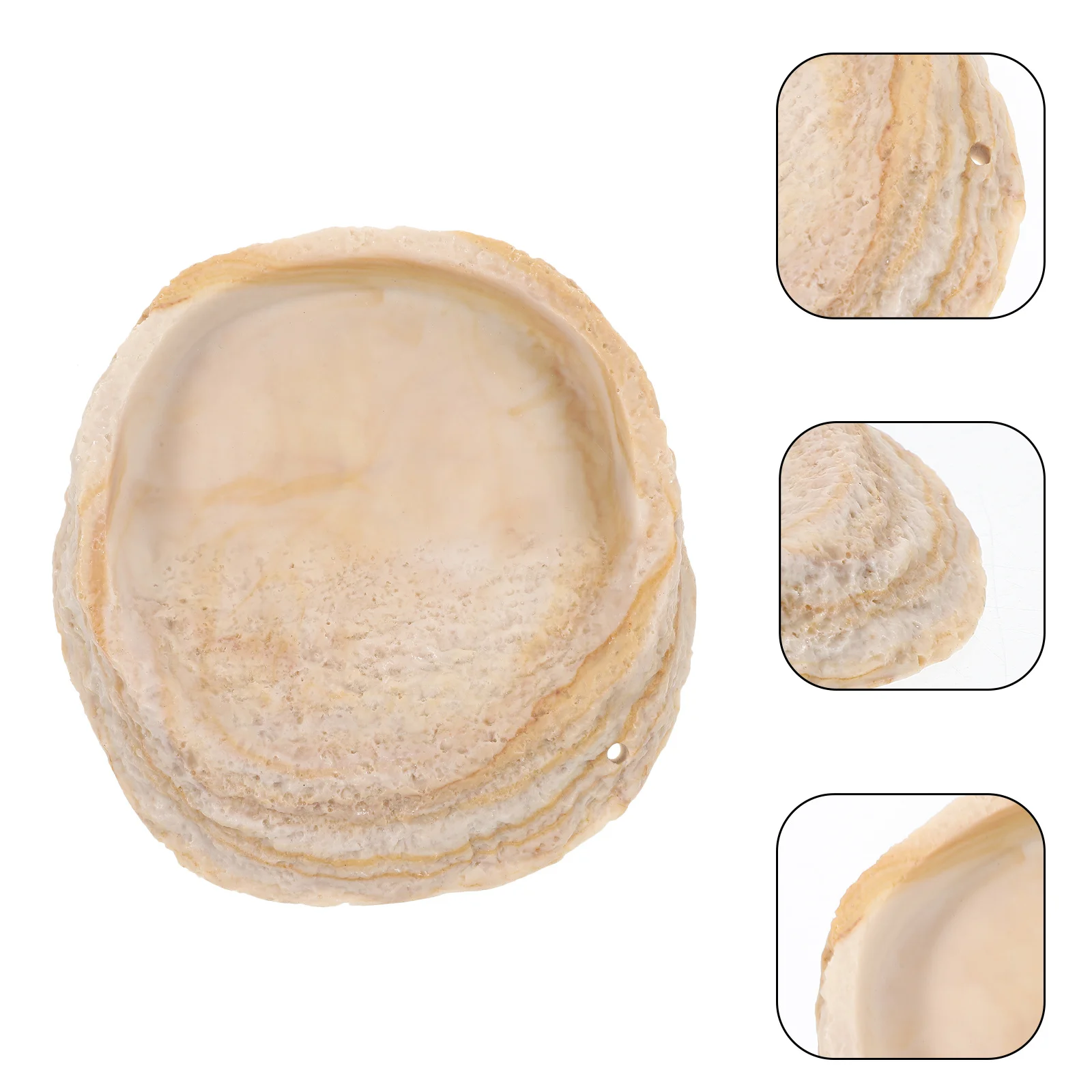 

Reusable Resin Reptile Food Holder Non-Toxic Wear-Resistant Feeding Bowl for Terrarium Decorative Water Dish Lizards Snakes