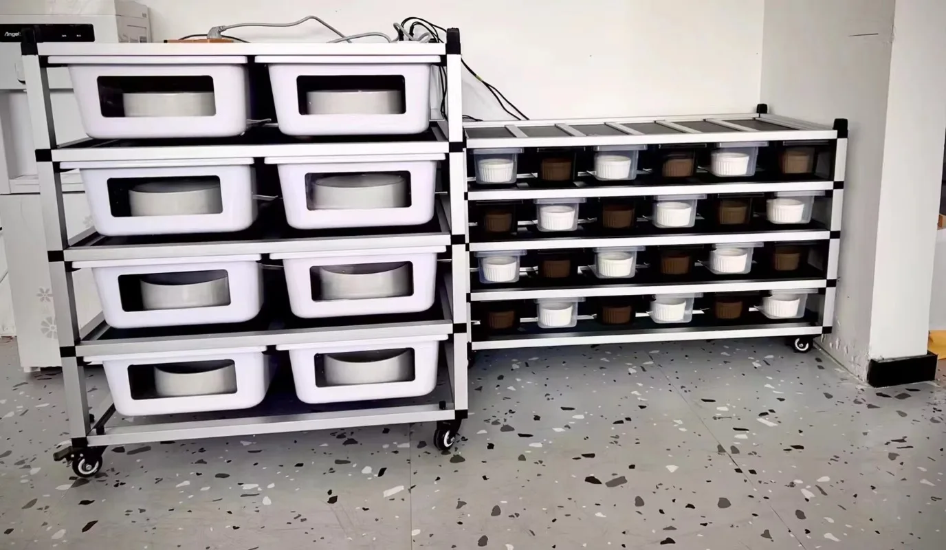 Durable & Secure Snake Breeding Rack: Optimized Tub Enclosure for Ball Pythons, Lizards with Enhanced Ventilation and Safety