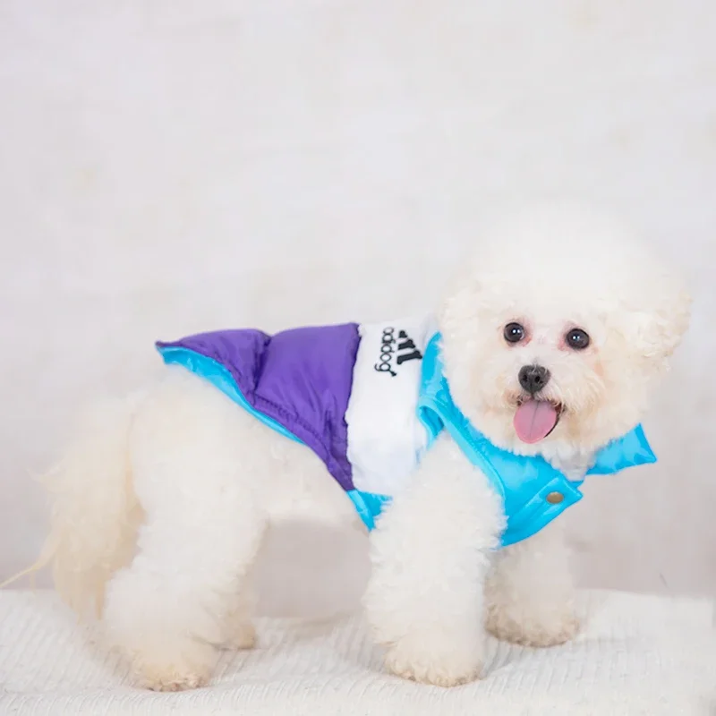 Winter Warm Dog  Clothes Designer Fashion Dog Cotton  Color Block Pet Coat For Small Dogs Chihuahua Puppy Costume Windproof