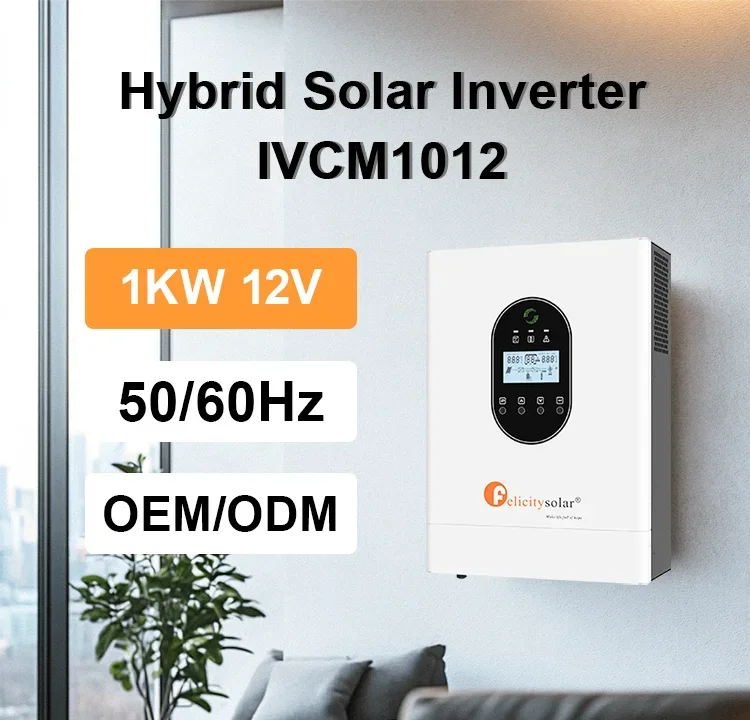 Felicity OEM Customized 1kw Low Voltage Single Phase Ac Hybrid Solar Inverter