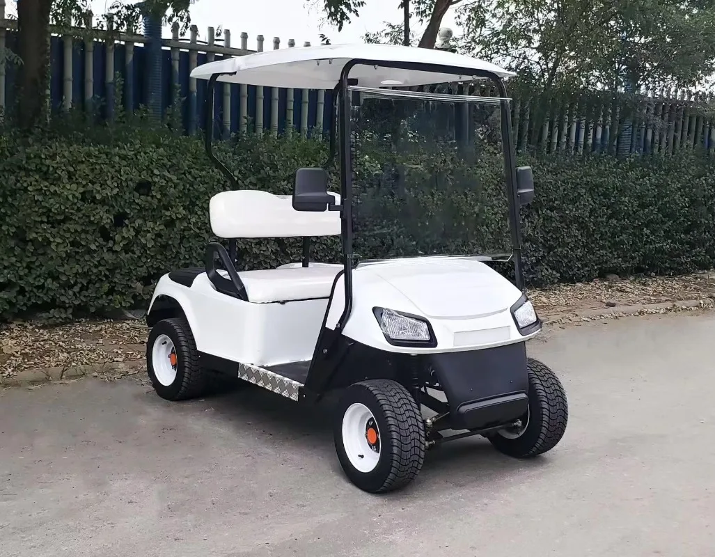 Airo CE DOT Certified Mini Golf Cart 2-Seat - Luxurious Seats, 60V 100AH, 100km Long Range for Resort