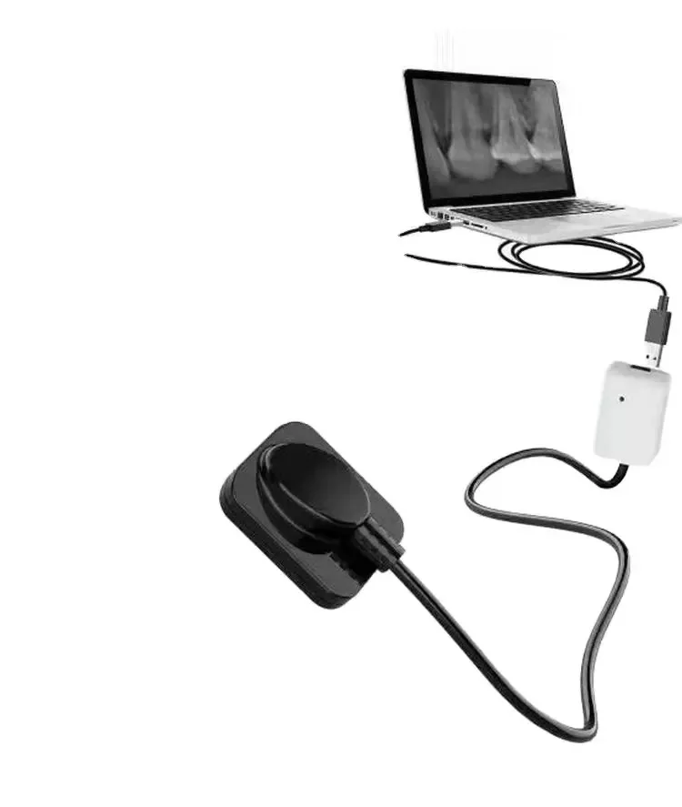High Quality Resolution APS CMOS Dental RVG Digital Intraoral Imaging Dental X Ray Sensor