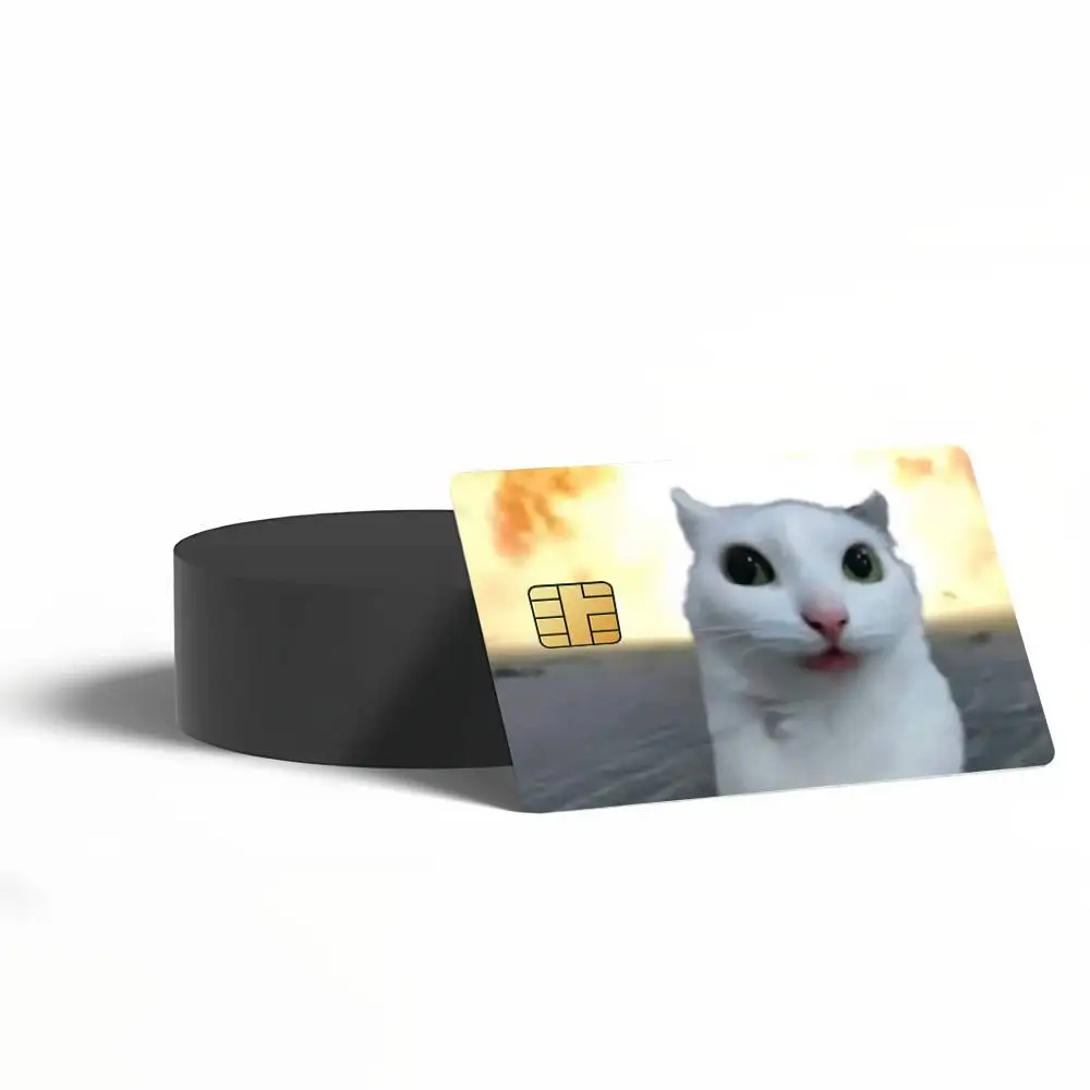 Cat Meme Poster Credit Card Skin Stickers for Bank Access Protective Film Cover Sticker Surprise Gift