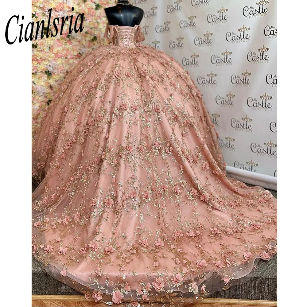 Sparkly Off The Shoulder Corset Quinceanera Vestidos de Baile 3D Flores Lace Sweet 15 Vestidos De XV Años