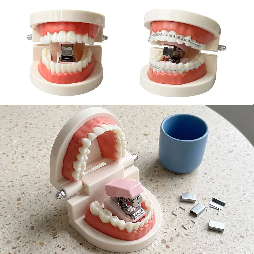 Dental Typodont Model with Stapler Funny Creative Teeth Mouth Model Stapler Novelty Stationery Portable Stapler Dentistry Gifts