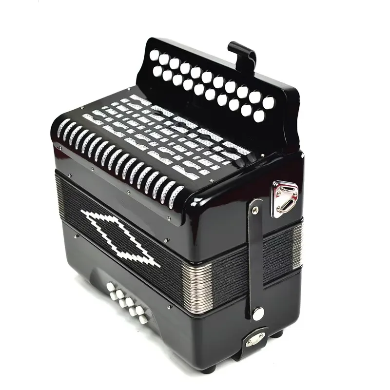 

Hooqu 21 Keys 8 Bass Piano Accordion With Adjustable Straps Gig Bag Musical Instrument For Kids Beginners