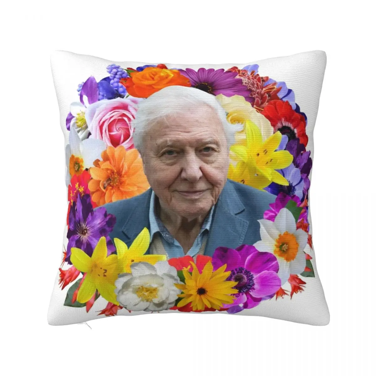 

David Attenborough Throw Pillow Cushions For Decorative Sofa Covers For Sofas