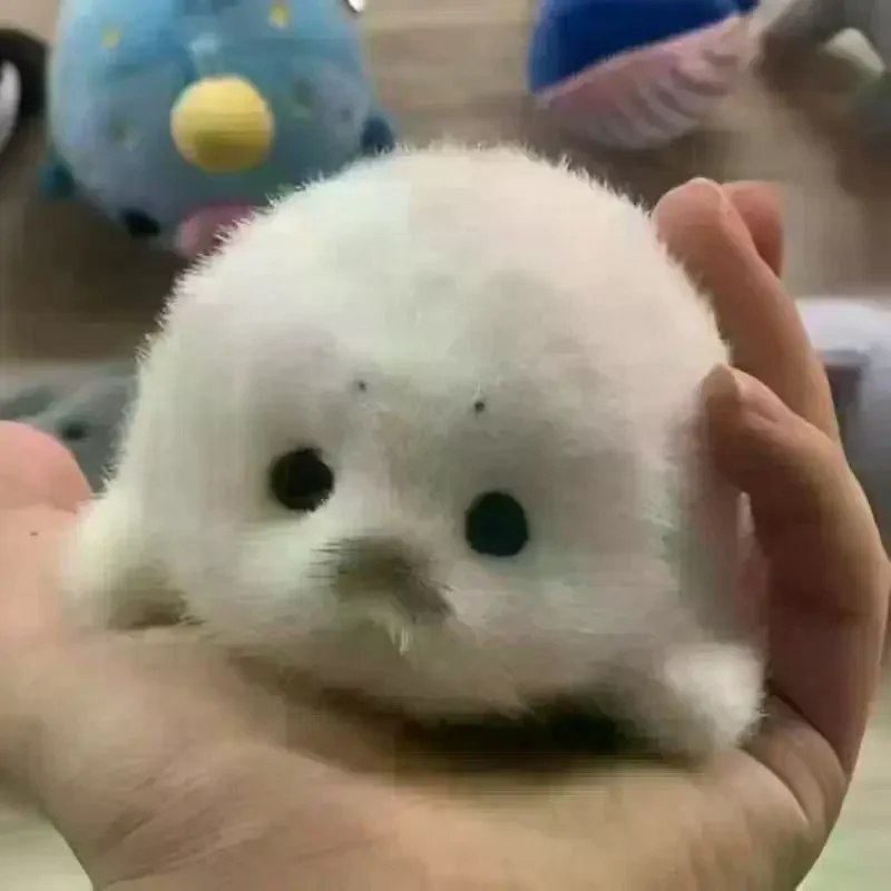 Cute Baby Seal Doll Plush Toy Pendant Simulation Ocean Toy Souvenir Seal Pendant Gift Doll Bag Pendant