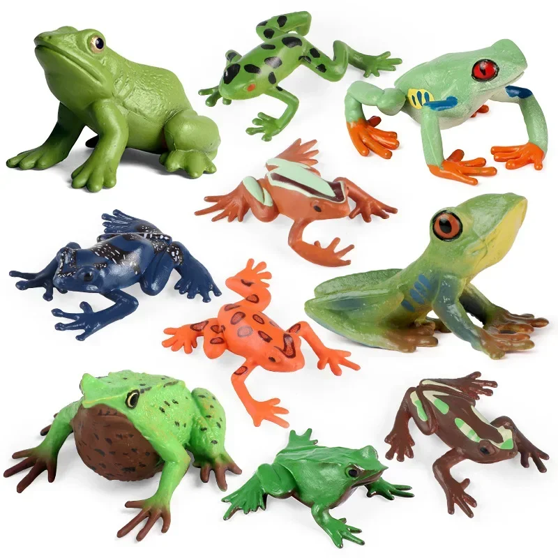 Figuras anfibios de animales salvajes para niños, simulación cognitiva, modelo educativo de ciencia, rana Darwin, adorno de paisaje de la selva tropical