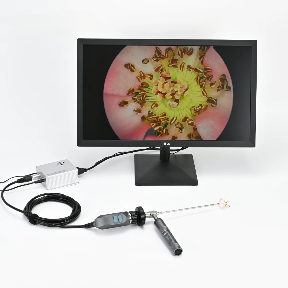 Medical Full HD 1080P Portable  and CVBS/SDI Endoscopic  to