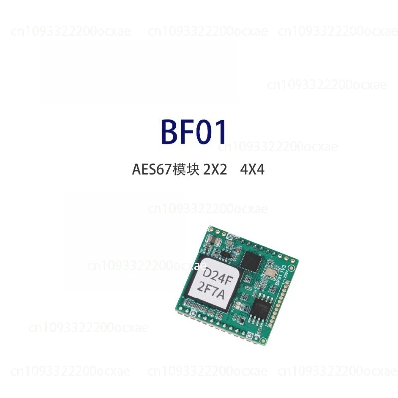 

AES67 audio network transmission interface module BF01 2X2 4X4 for power amplifiers and microphones
