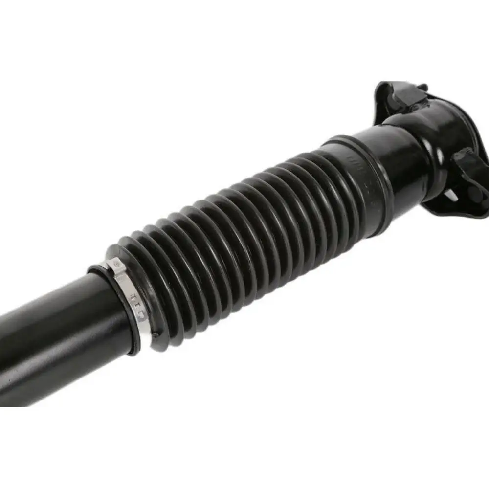 Automatic Automobile Parts Rear Shock Absorber 1643202431 Suitable For Mercedes-Benz W164 ML