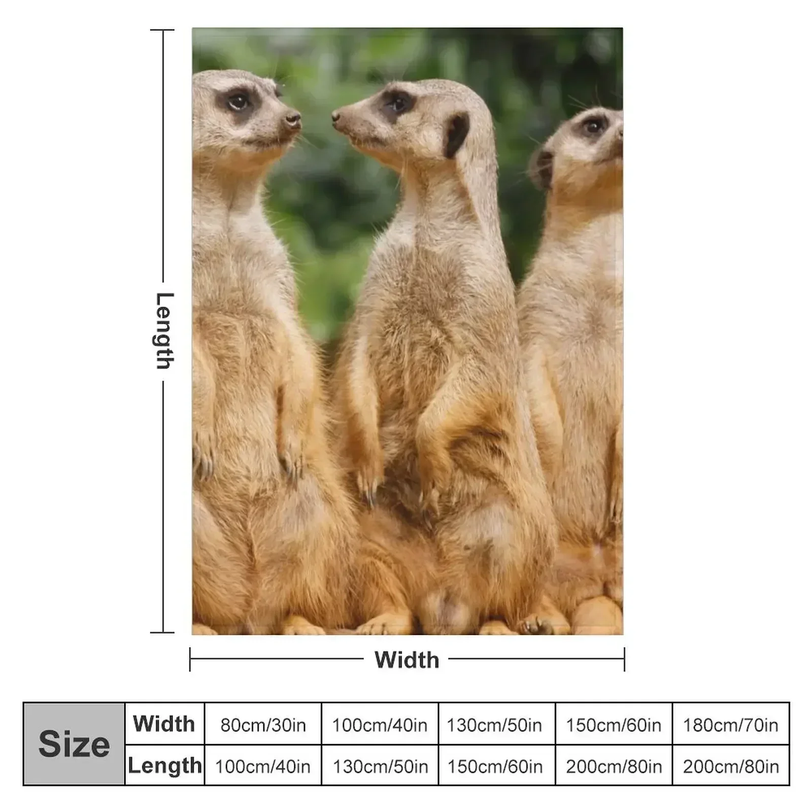 Meerkat 07 Throw Blanket for winter Luxury Designer Flannel Quilt Travel warm winter Blankets