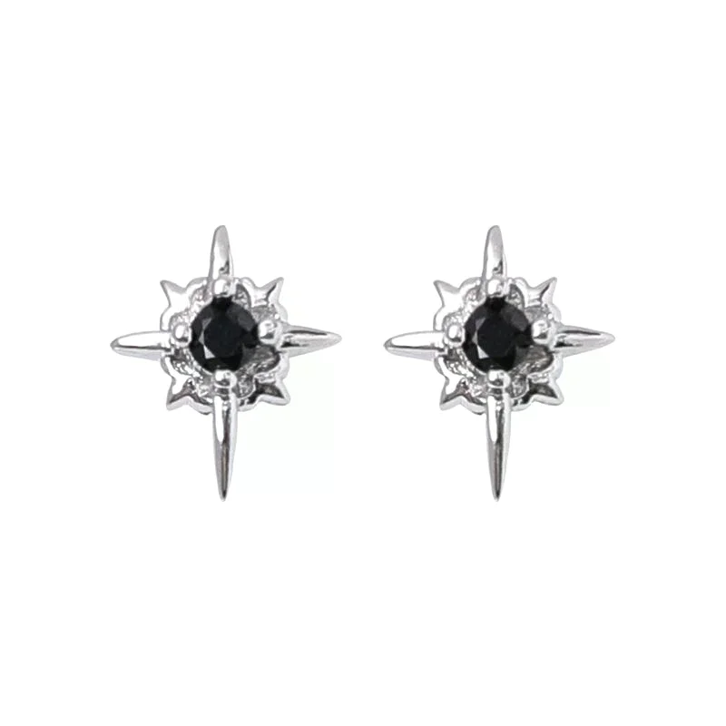 1 Pair North Star Magnetic Ear Clips Stud Earrings Non Piercing Strong Magnet Fake Piercing Women Men Jewelry Clip Earrings view 5