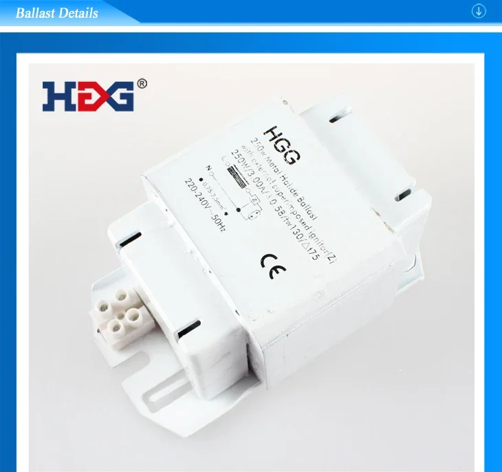 Traditional ballast for MH/HPS 250w 400w 220v 240v 50hz and 60hz factory direct sales