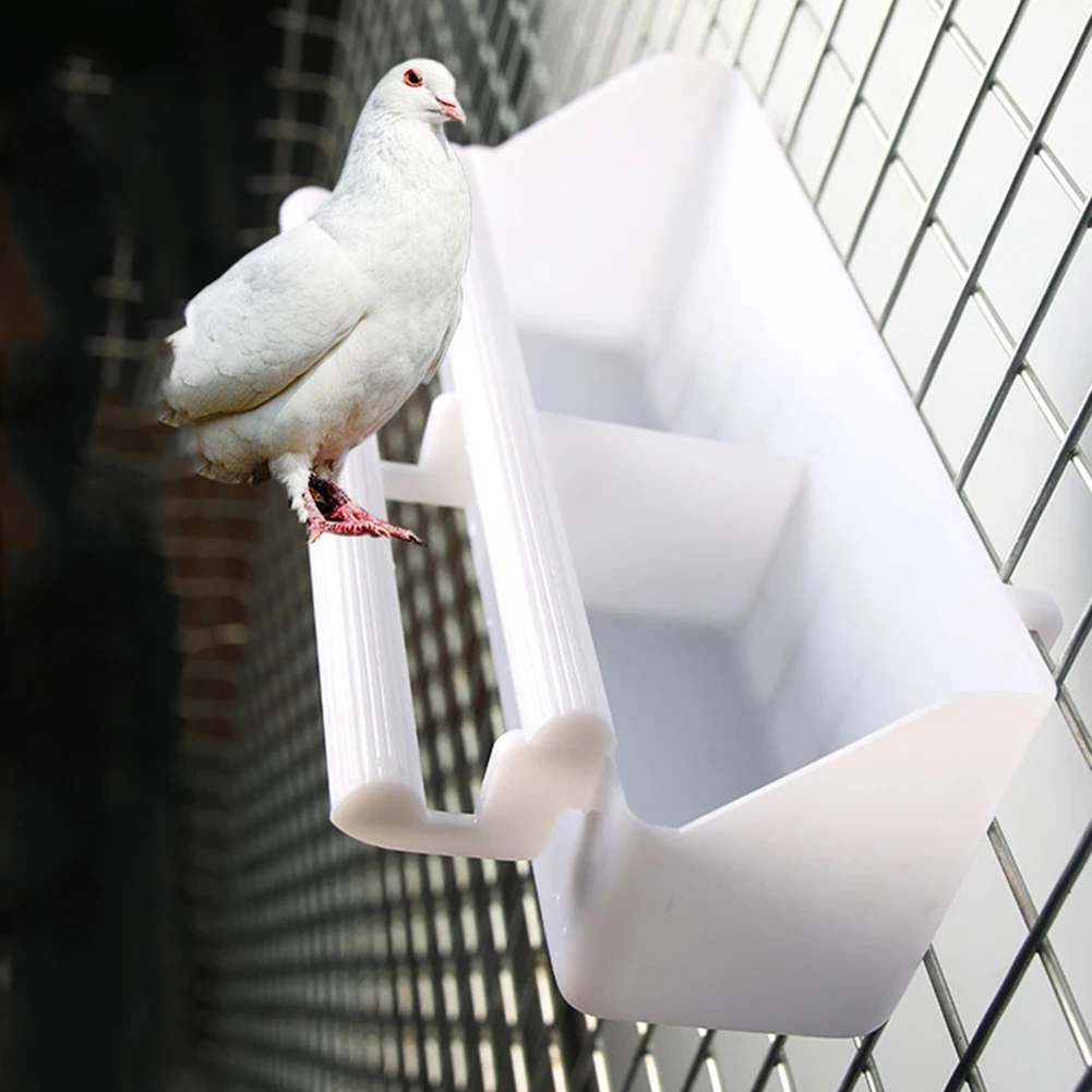 Mangeoire à oiseaux arc-en-ciel de grande capacité pour animaux de compagnie, boîte à nourriture et à eau pour perroquet pigeon Mynah, livraison