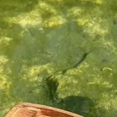 1개 요정 정원 홈 장식 세라믹 어부 보트 피규어 수족관 어항 풍경 분재 장식품