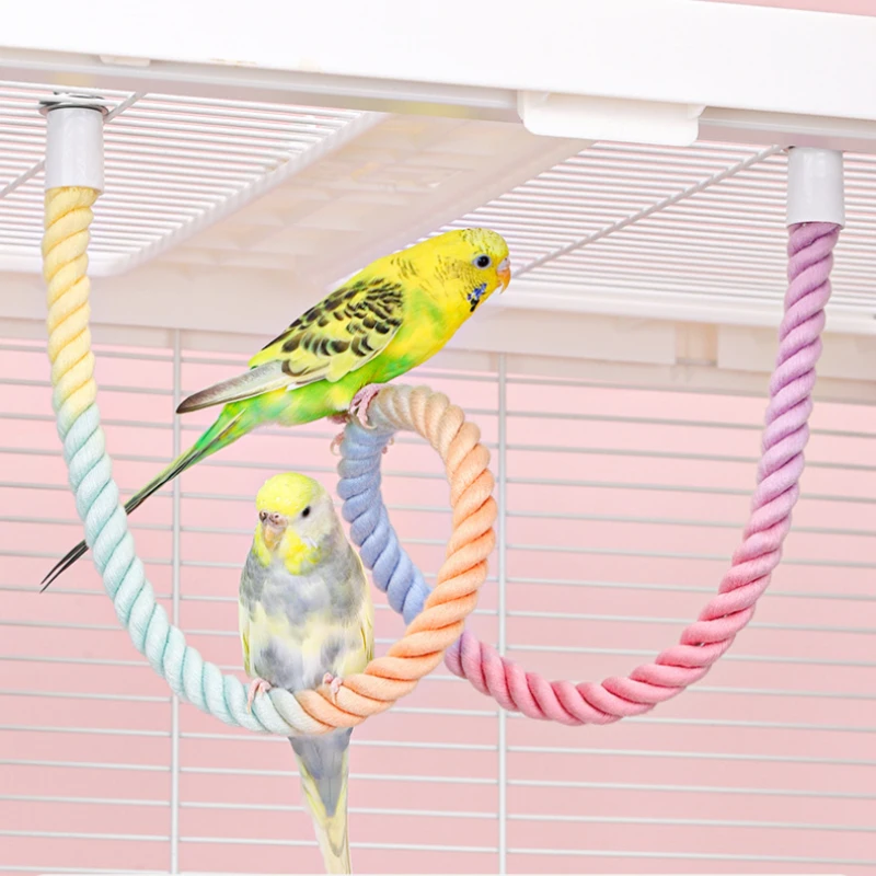 Thumbnail 3 - #55 Best Hamster Cages to Buy In 2026
