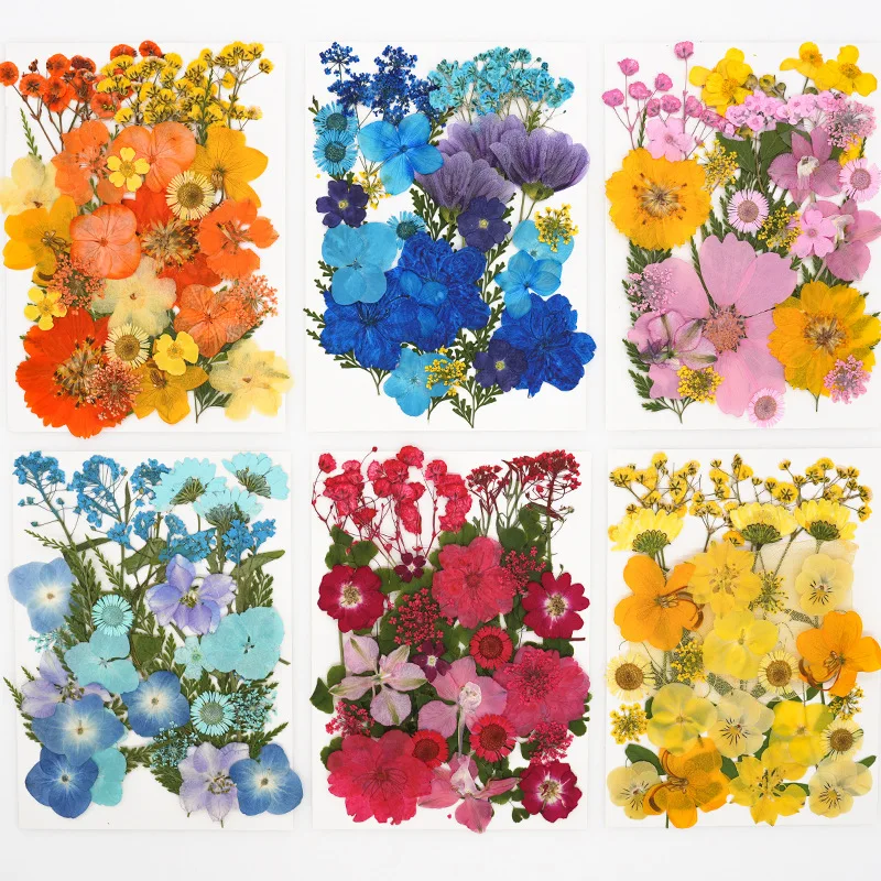 30PCS Set Dried Flower for DIY Crafts Scrapbooking Bulk Natural Dry Floral Resin Fillers Compressed Leaves Nail Art Decorations